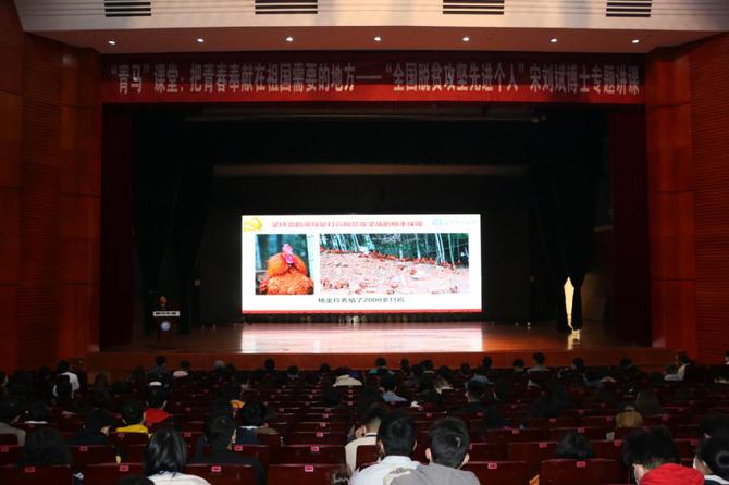 圖片7 圖片7